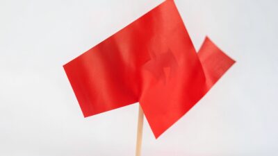 Navigating the Labyrinth: Understanding Red Flags and Setting Healthy Boundaries in Modern Dating