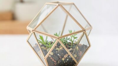 Creative Slime Molds: DIY Kid-Friendly Geometric Terrariums for a Modern Home Decor