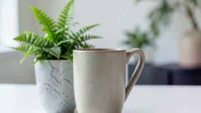 Exploring the Rise of Biophilic Design in Modern Aesthetics - Connecting Interiors with Nature