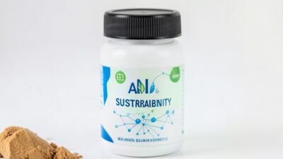 Maximizing Sustainability: Implementing AI for Eco-Friendly Marketing Strategies in 2026